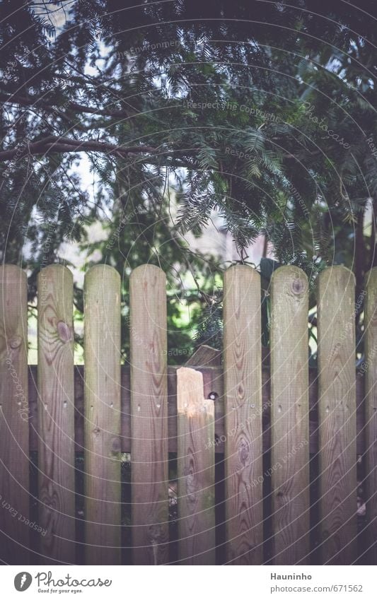 garden fence Garden Garden fence Environment Nature Tree Foliage plant Park Fürstenfeldbruck Small Town Gloomy Green Loneliness Leica Elmarit 60mm Wood