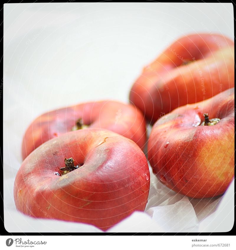 mountain nectarines Food Fruit Nectarine Organic produce Vegetarian diet Diet Fresh Retro White Square Frame framed Filter filtered Reaction Background picture