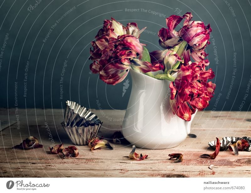 Still Life with Tulips Style Vase Baking tin Flower Bouquet Table Wood Glass Metal Faded To dry up Retro Beautiful Dry Multicoloured Gray Red Romance Esthetic