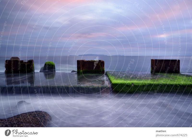 at the green table Landscape Plant Sky Clouds Horizon Sunrise Sunset Winter Weather Coast Ocean Blue Gray Green Pink Algae Stone slab Break water Colour photo