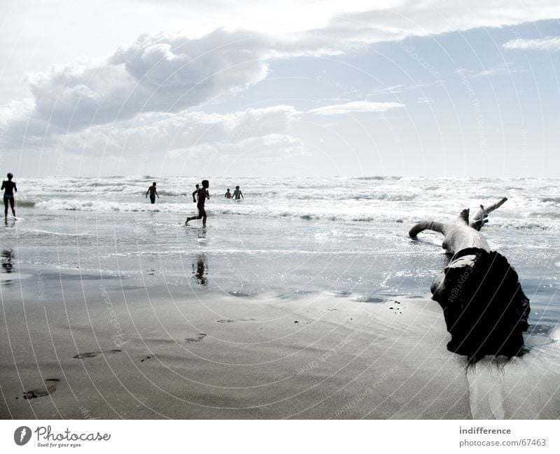 Tree of magic Beach Human being Summer Sky tree slouds sea Sand tuscany