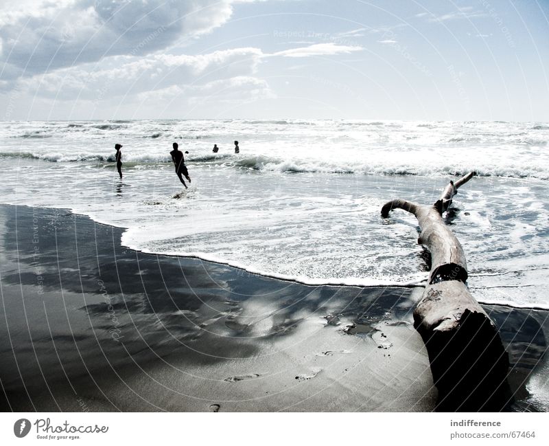 Tree of magic 02 Human being Beach Summer Sky tree Sand wave clouds tuscany sea