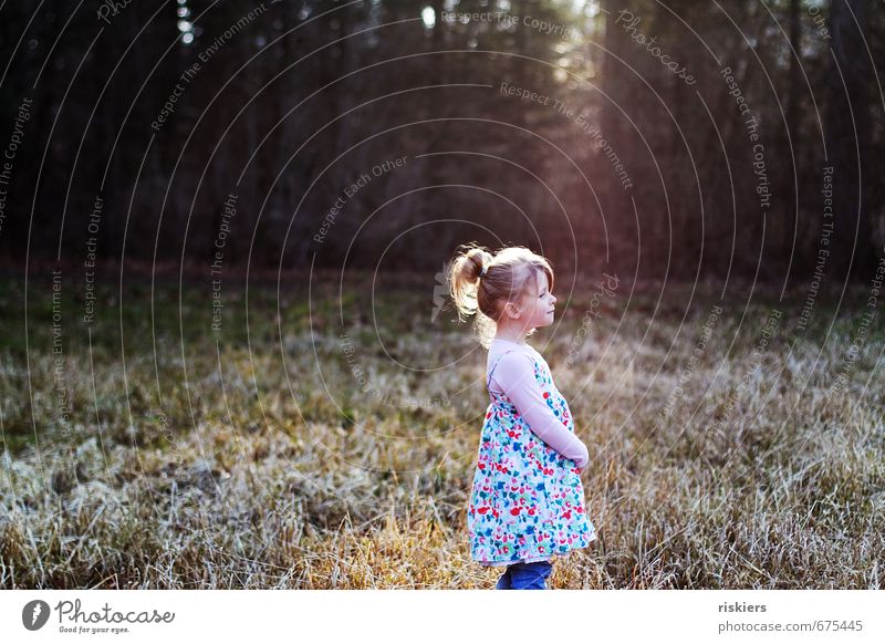 dreams of spring Human being Feminine Child Girl Infancy Life 1 3 - 8 years Environment Nature Sunrise Sunset Sunlight Spring Winter Beautiful weather Park