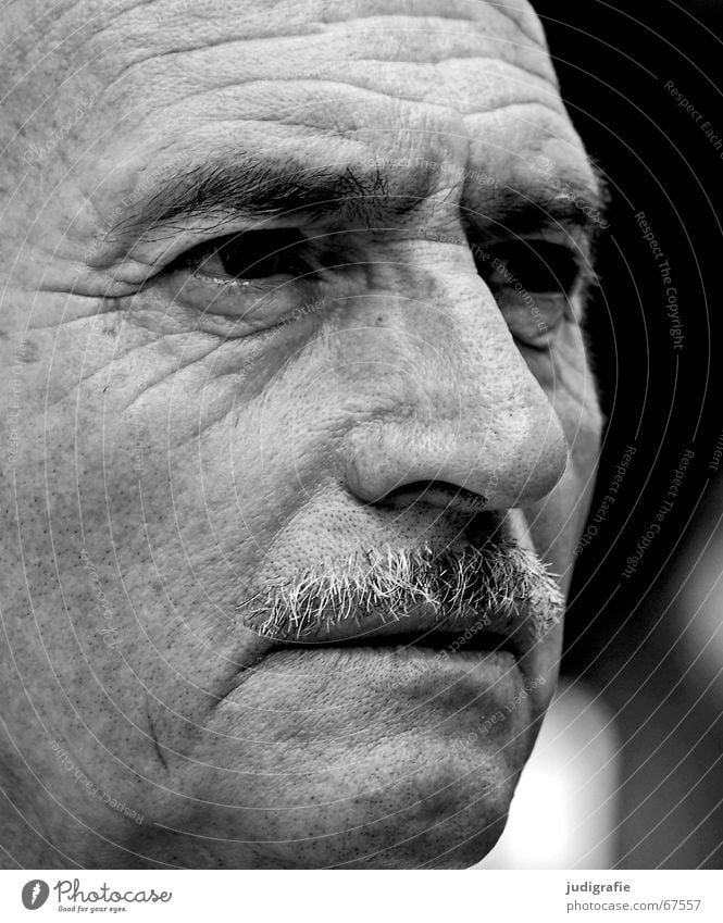 disbelief Portrait photograph Man Senior citizen Disbelief Skeptical Expectation Facial hair Wisdom Think Philosopher Paternal instinct Black & white photo Face