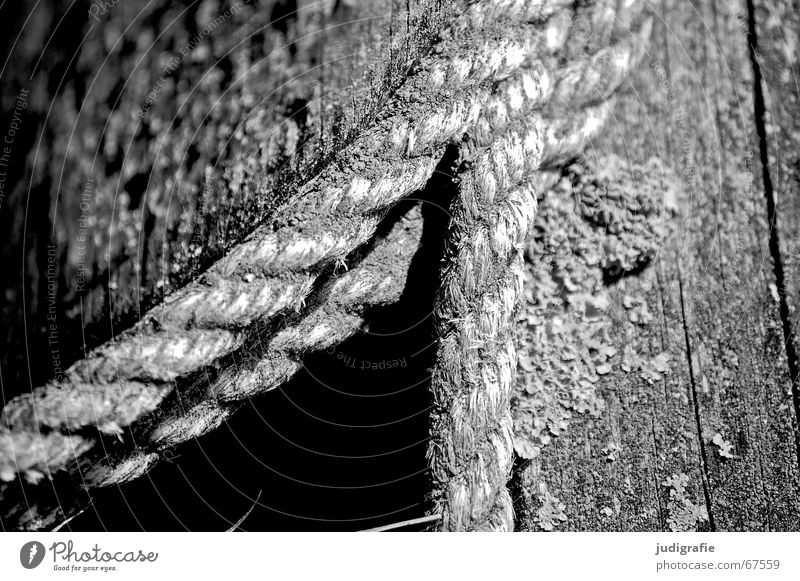 celebration Connectedness Wood Watercraft Footbridge Fastening Gray Black White Fishery Lake Ocean Boddenlandscape NP Feasts & Celebrations Rope Harbour