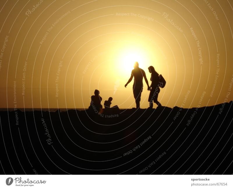 Tenerife by night Canaries Visual spectacle Silhouette Sun Evening Shadow