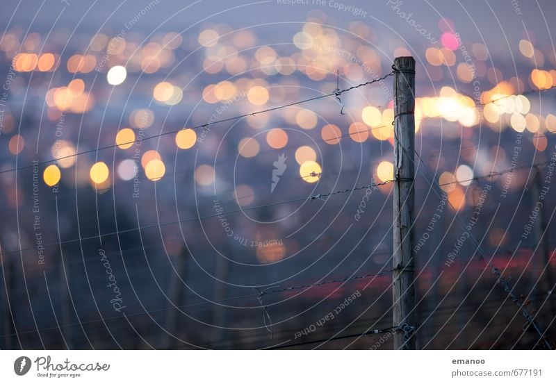 front focus Nature Landscape Winter Plant Hill Town Downtown Outskirts Populated Illuminate Dark Bright Tall Round Soft Yellow Blur Freiburg im Breisgau