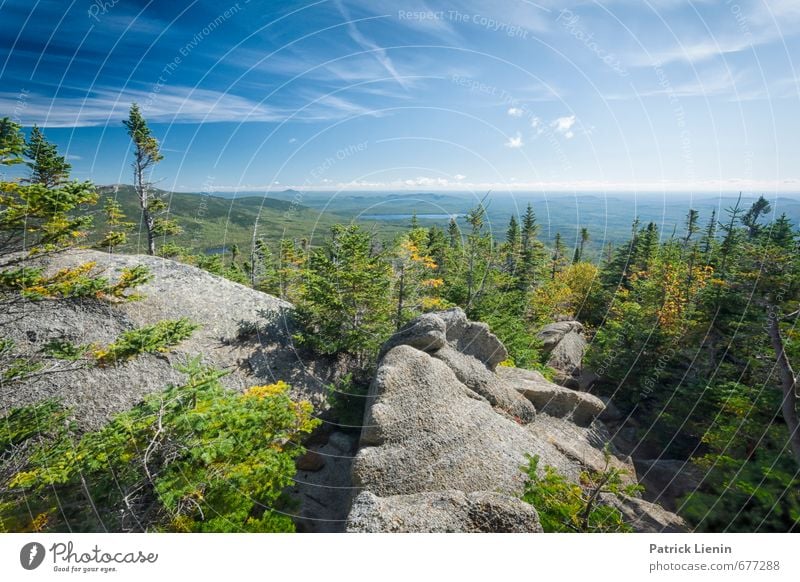 New England Environment Nature Landscape Plant Elements Air Sky Clouds Sunlight Autumn Beautiful weather Tree Bushes Forest Hill Rock Mountain Moody