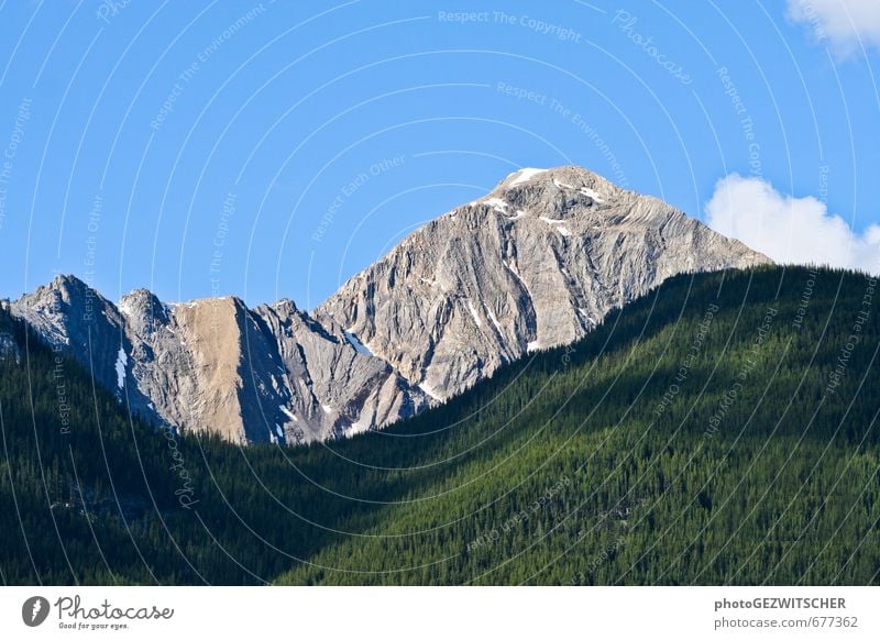 mountain Nature Landscape Plant Sky Clouds Horizon Summer Beautiful weather Tree Mountain Peak Moody Multicoloured Exterior shot Deserted Copy Space top Day