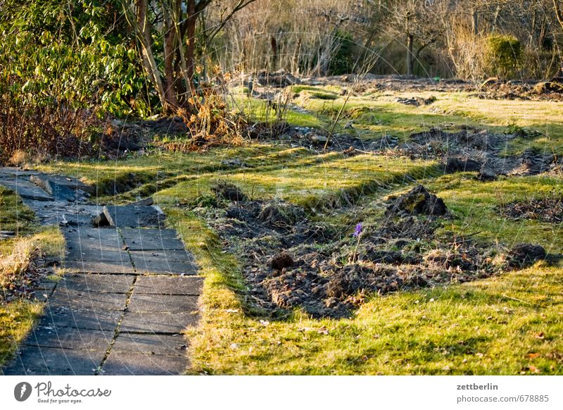 housing Berlin Germany Landscape Garden Garden plot Construction site Tracked vehicle Bulldozer Lanes & trails Scrabble about Build Plow Destruction Logging