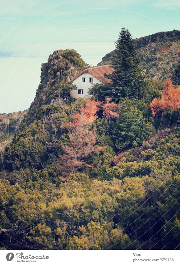 high up Nature Landscape Plant Sky Clouds Autumn Tree Bushes Forest Rock Mountain House (Residential Structure) Green Loneliness Colour photo Multicoloured