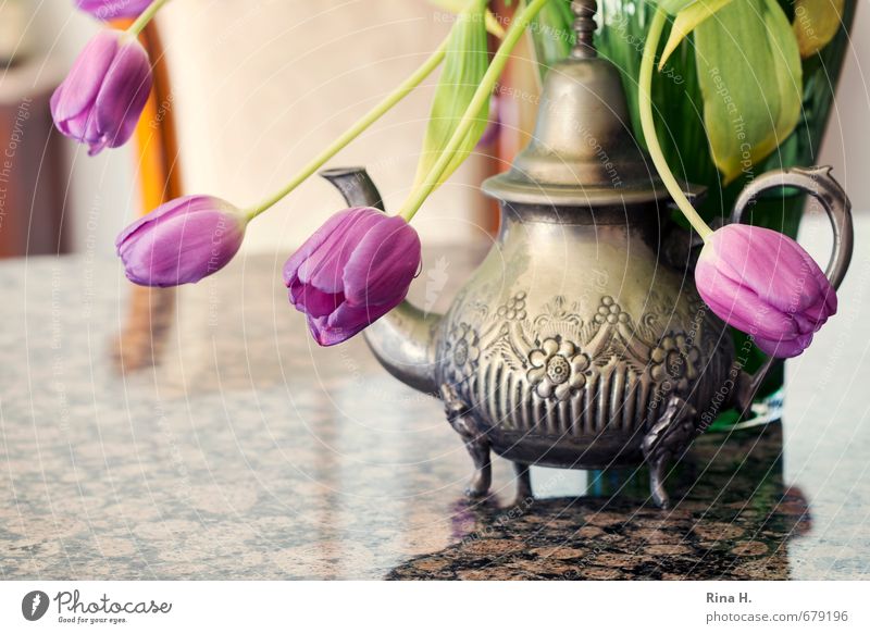 souvenir Living or residing Interior design Decoration Chair Table Blossoming Faded Tabletop Granite Teapot Vase Still Life Colour photo Interior shot Deserted