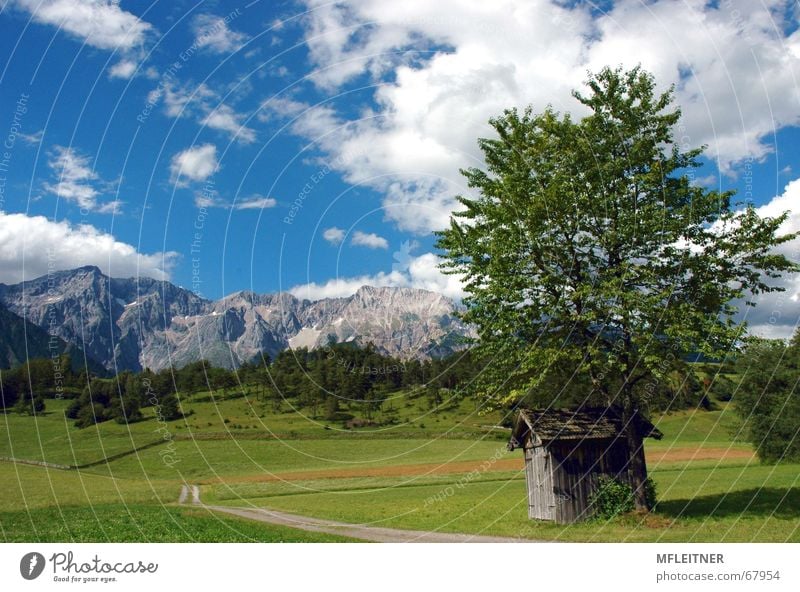 Dream landscape Mieming Tirol Federal State of Tyrol Austria Meadow Green Clouds tyrol Mountain Sky