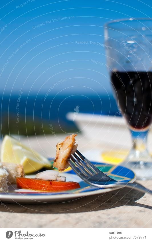 Light food in the pc retirement home Cloudless sky Summer Relaxation Ocean Horizon Blue Plate Fork Shrimps Tomato Lemon Bread allioli Glass Wine Senior citizen