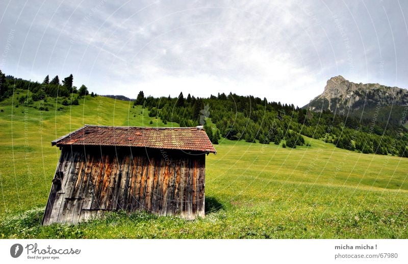 Cabin Tour II Meadow Summer Forest Clouds Peak Flower meadow Calm Vacation & Travel Relaxation Green Hut Mountain Weather