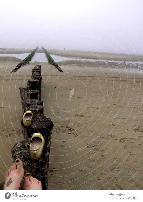 walk. Beach Footwear Wood Ocean Bad weather Oppressive Feet Clouds Sand