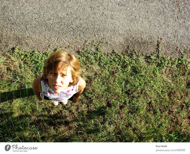 Where's the little bird?! Girl Green Hot Dazzle Direction Gray Red Search Lawn Street Looking Sky Hair and hairstyles reddish Line Shadow