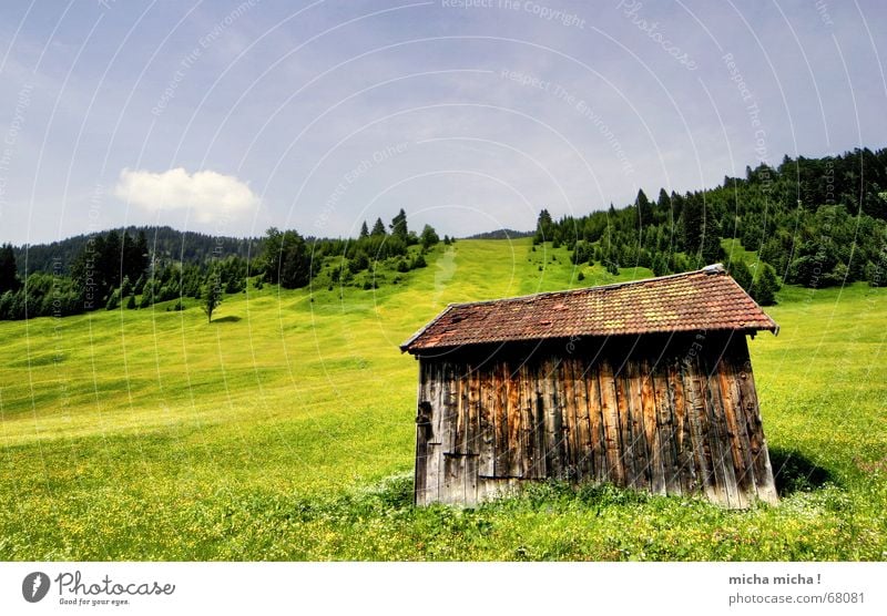 Cabin Tour III Meadow Summer Forest Clouds Peak Flower meadow Calm Vacation & Travel Relaxation Green Hut Mountain Weather