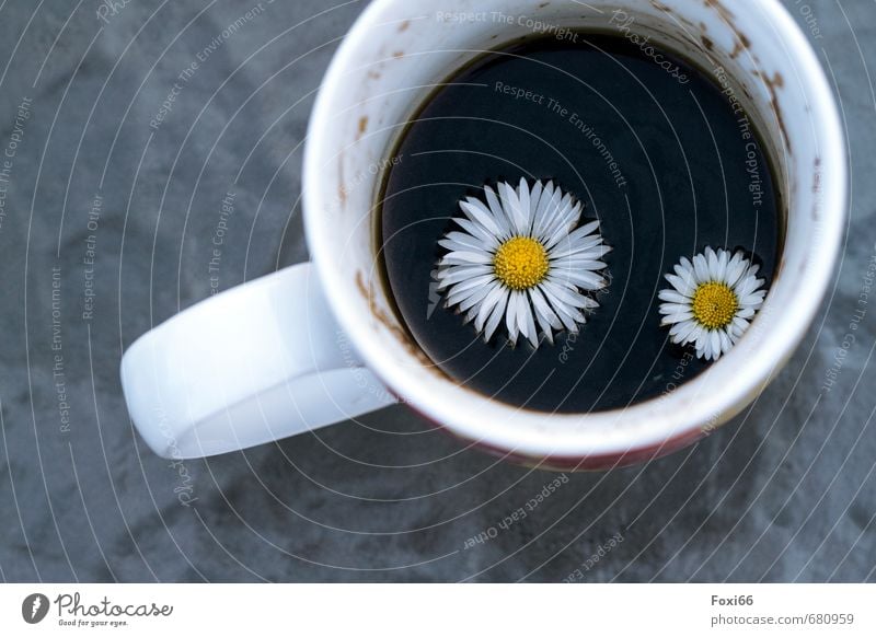 coffee with flowers Beverage Coffee Coffee grounds black coffee Cup Pot Glass Porcelain Earthenware To enjoy Drinking Fragrance Healthy Hot Yellow Black White