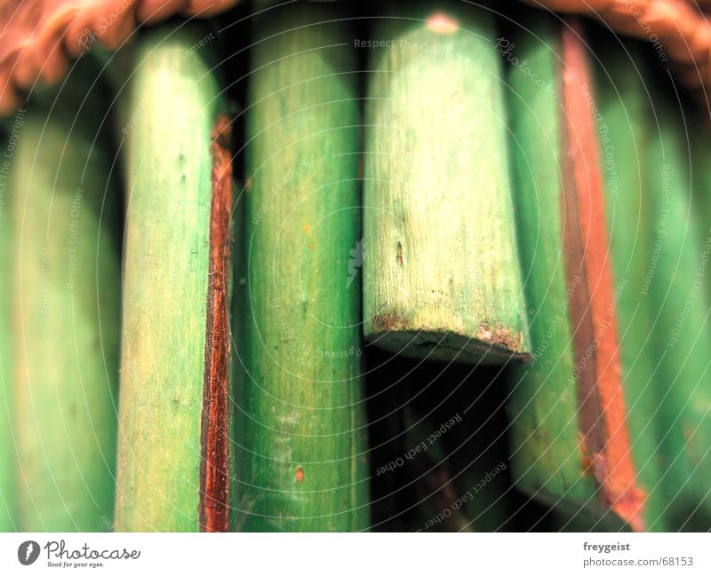 Green Wood 1st Wood flour Bundle Brown Style Empty Stalk Vertical Pasture Nature Common Reed Gap Hollow fetch Rope Macro (Extreme close-up) teeth Colour