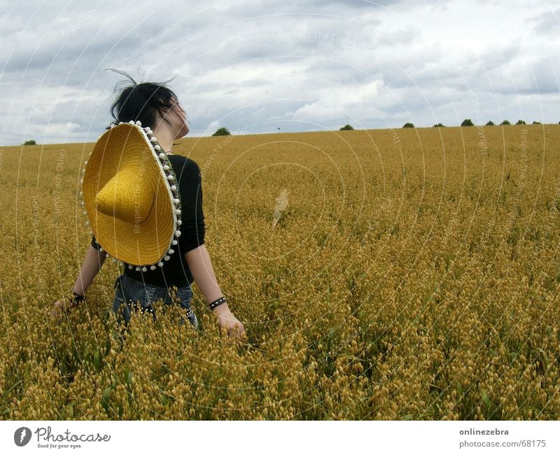 autumn field Summer Field Longing Cornfield Oats Wheat Wheatfield Woman Autumn Nature Freedom Mexico Hat Idyll Landscape Life Grain Back