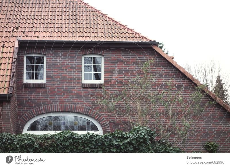 sad house Living or residing Flat (apartment) House (Residential Structure) Garden Face Cloudless sky Plant Tree Ivy Village Small Town Wall (barrier)