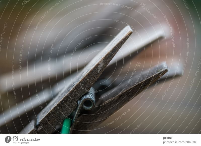 clip Wood Gray Green Holder Clothes peg Clothesline Colour photo Exterior shot Close-up Detail Macro (Extreme close-up) Copy Space right Day