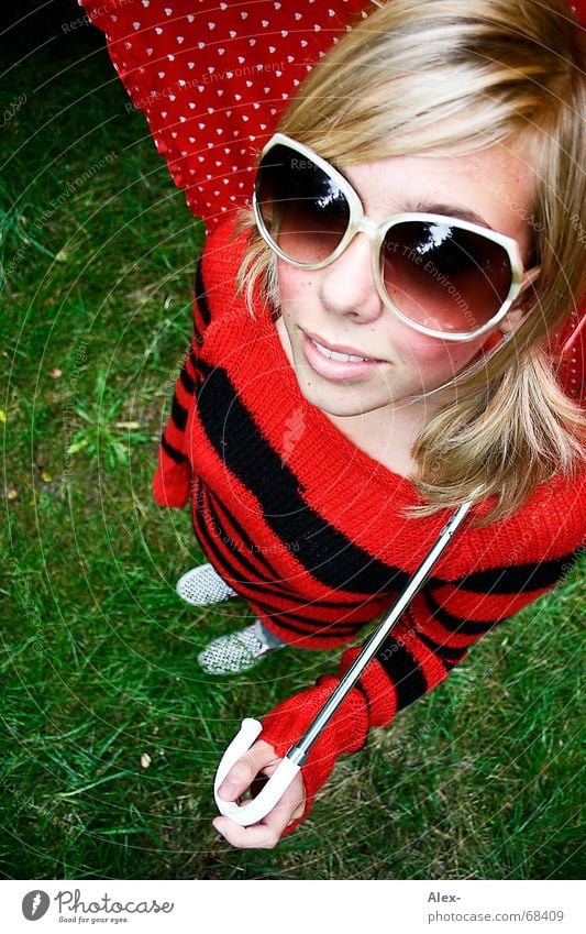 Punk, the housefly. Sweet Beautiful Cute Bird's-eye view Wide angle Striped Eyeglasses Large Umbrella Red Black Blonde Woman Sunglasses Summer Sweater Fisheye