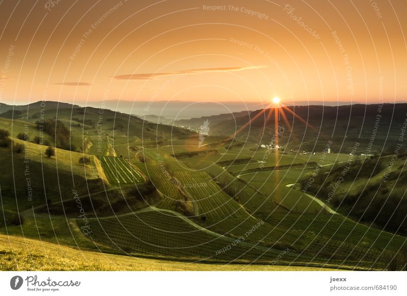 salvation Landscape Sky Clouds Horizon Sunrise Sunset Sunlight Summer Beautiful weather Meadow Field Mountain Dry Green Orange Idyll Kaiserstuhl Terraced field