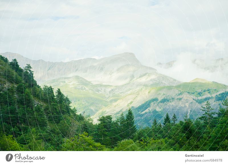 Le Vernet Environment Nature Landscape Clouds Summer Tree Forest Mountain Peak Natural Beautiful Green Pyrenees Southern France Panorama (View) Colour photo