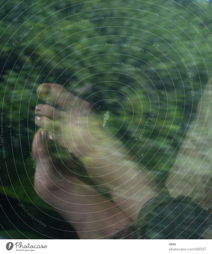 road movie 07 Driving Railroad Speed Green Toes Reflection Dream Think Thought Vacation & Travel Plant Feet ponder Barefoot