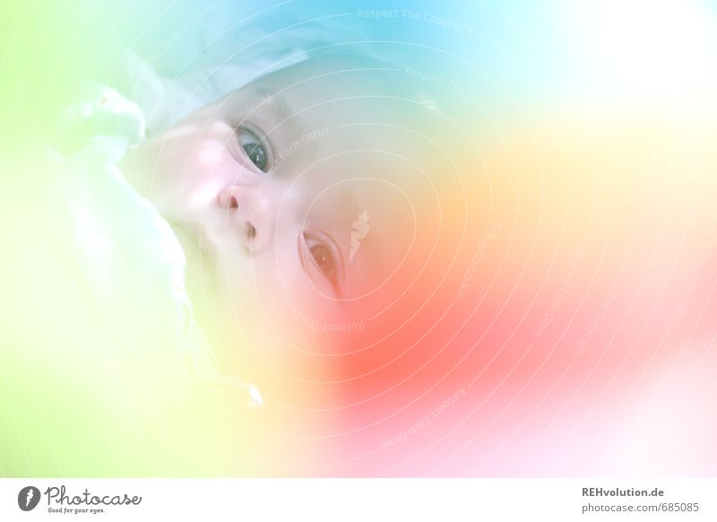 My baby's with me. Is that clear? Human being Child Baby Head 1 0 - 12 months Family & Relations Offspring Colour photo Multicoloured Interior shot Light Blur