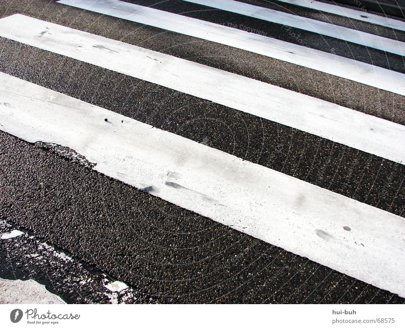 right, left, right and over. Zebra Zebra crossing Black White Striped Traffic light Pedestrian Line Right Left Asphalt Concreted Tar Elementary school Hand