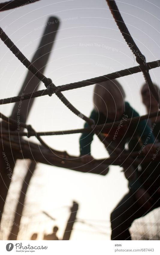 Toddler on climbing frame Athletic Leisure and hobbies Playing Playground Climbing climbing scaffold Net Summer Garden Human being Masculine Child Boy (child)