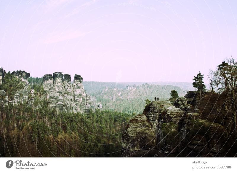 postcard motif Vacation & Travel Tourism Trip Adventure Freedom Sightseeing Mountain Hiking Landscape Tree Forest Rock Saxon Switzerland Peak Bastei Observe