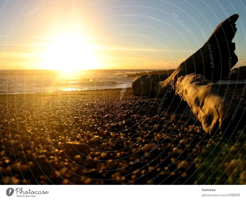 Sunset in NZ Colour photo Exterior shot Deserted Evening Sunlight Sunbeam Sunrise Back-light Worm's-eye view Vacation & Travel Beach Ocean Waves Water Autumn