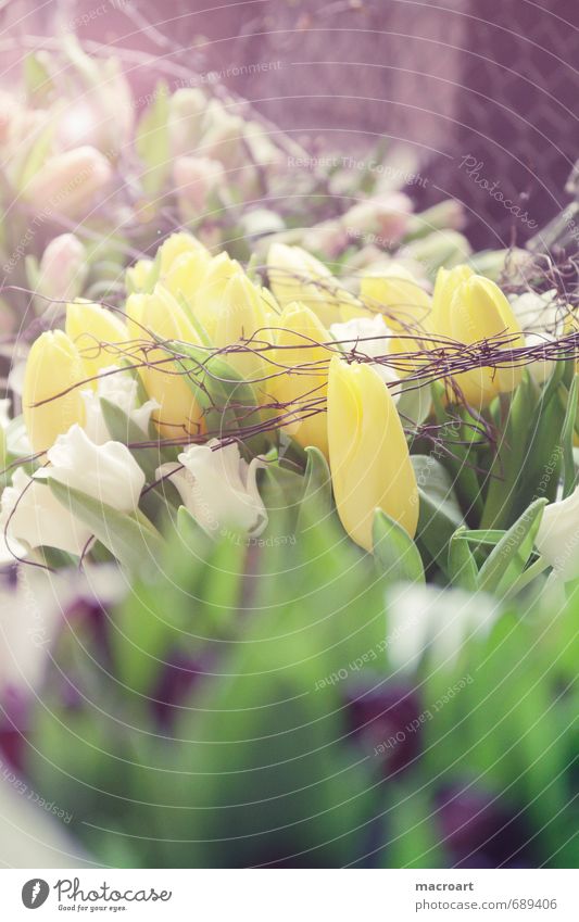 spring Tulip Flower Spring Yellow Plant Bouquet Mother's Day Valentine's Day Green Birthday Portrait format Blossoming