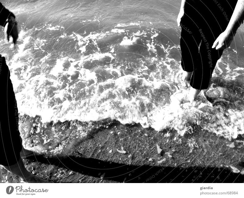 footbath Beach Refrigeration Cold Refreshment Ocean Lake Waves Surf Mussel Gravel Algae Vacation & Travel Wet Free space Exterior shot Feet Water Relaxation