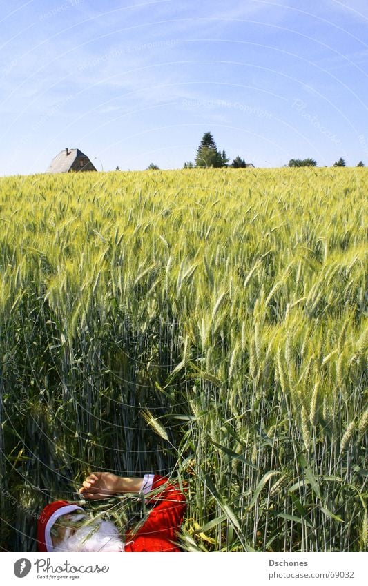 "UNKNOWN DEAD FOUND IN FIELD." Inverted Miss Santa Claus Fleece Death Field Wheat Clouds Mysterious Foreign Facial hair Red Unshaven