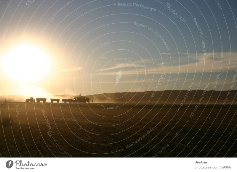 harvest Evening sun Dust Dusk Agriculture Field Tractor Carriage Combine Farmer Summer Nature Sky Harvest Followers Sun Beautiful weather August setting sun