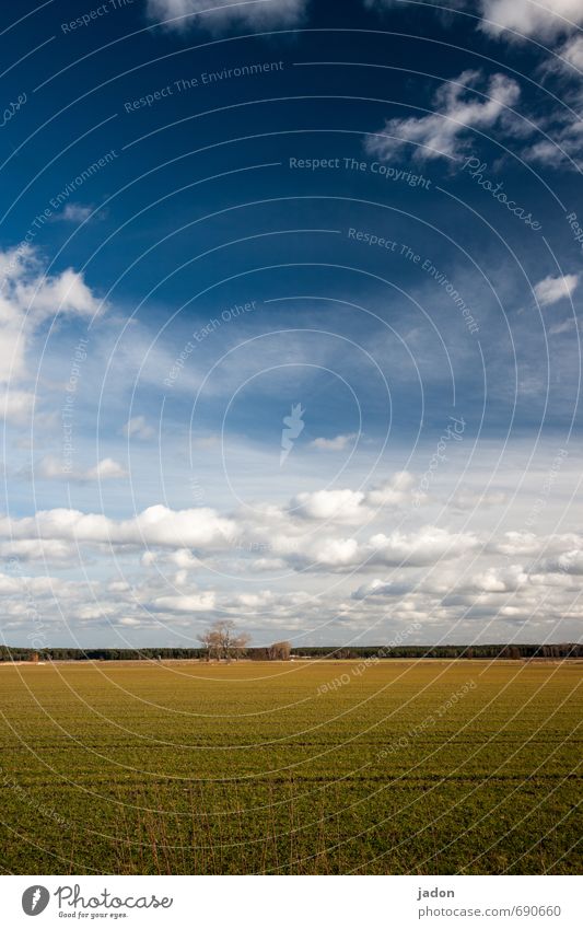 Far-sightedness. Environment Nature Landscape Earth Sky Clouds Horizon Spring Grass Field Looking Infinity Long Natural Blue Calm Wanderlust Contentment