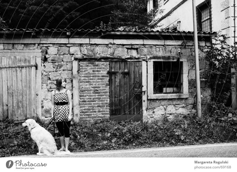 from the country Dog Woman Dress Window old house Point Street