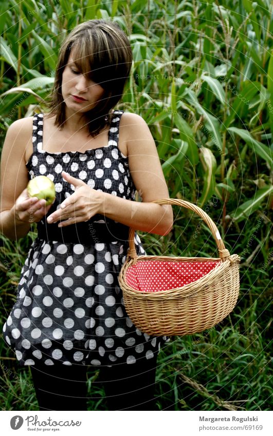 Red baskets and the bad apple Basket Woman Dress Maize field Point Apple