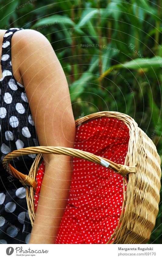 basket Basket Maize field Red Plaited Green Multicoloured Point Arm