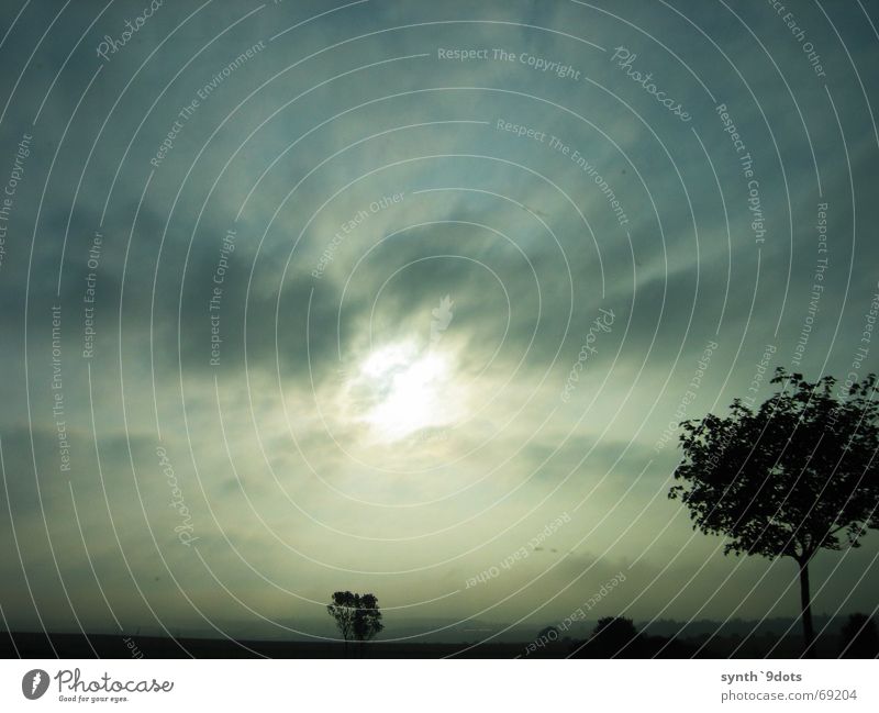 Cloudy Clouds Tree Light Yellow Sky Sun Thunder and lightning Blue