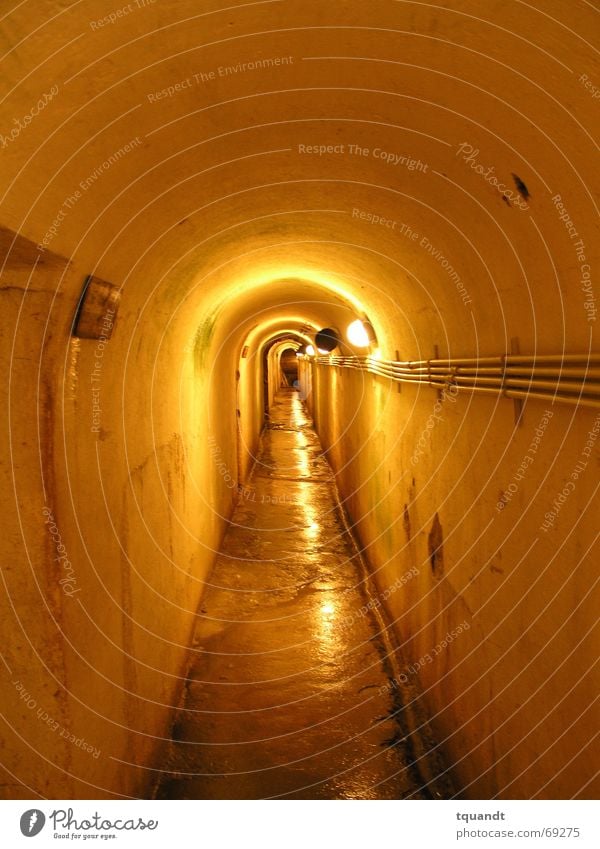 Shadows at the end of the tunnel Yellow Tunnel Subsoil Narrow Dugout i. world war Appearance Corridor