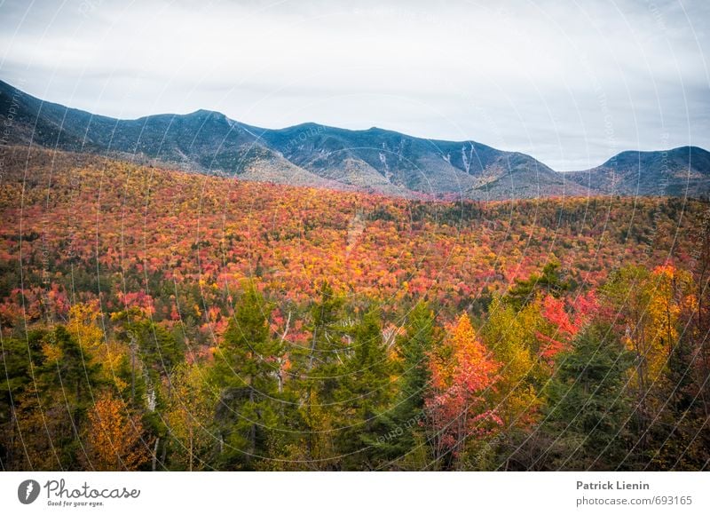 Indian Summer III Environment Nature Landscape Elements Sky Sun Autumn Climate Weather Beautiful weather Plant Tree Forest Hill Mountain Peak Exceptional