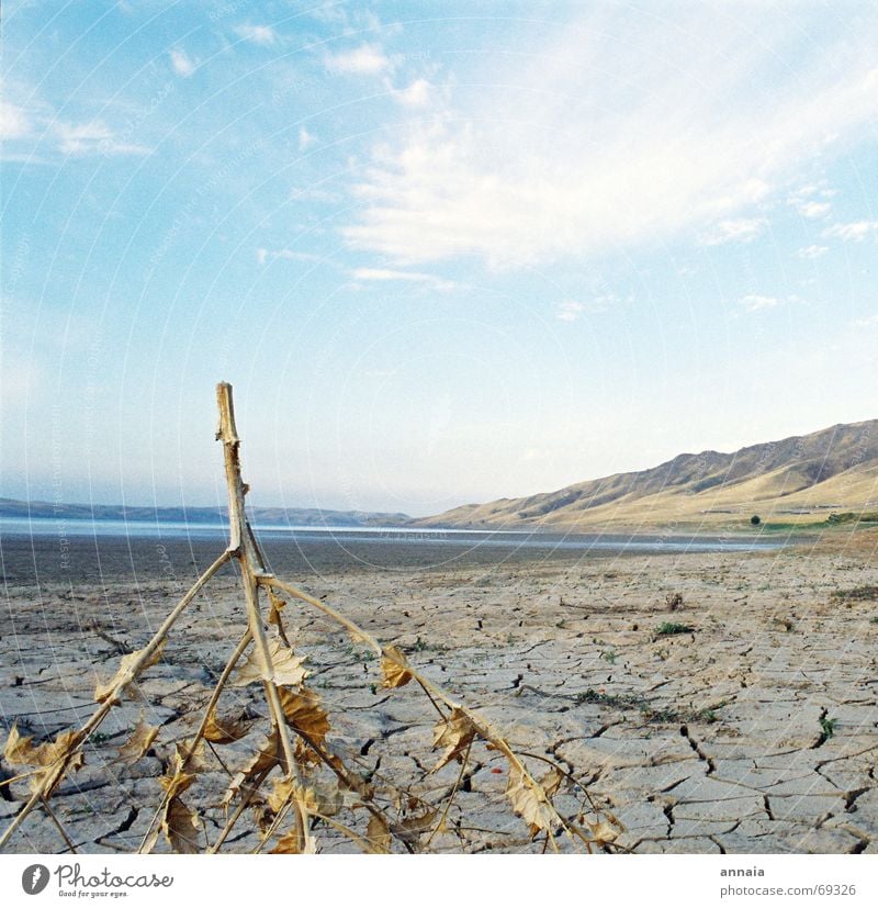 aridity Drought Dry Leaf Riverbed Sky Stick Torn Broken Ambiguous Branch Dried river valley Valley blue Far-off places Mountain Americas Open Beautiful