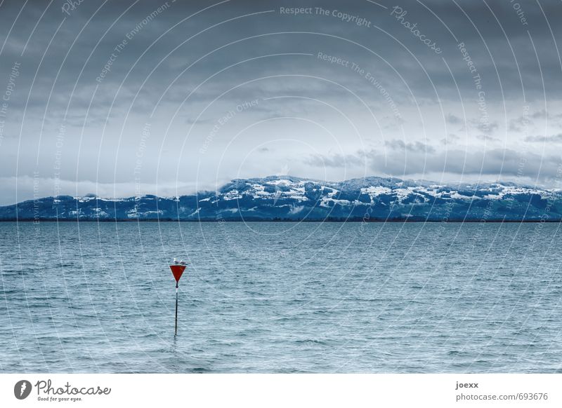 LOVED Landscape Water Sky Clouds Bad weather Mountain Snowcapped peak Lake Bird Pair of animals Sit Cold Blue Red White Hope Idyll Love Attachment Gull birds