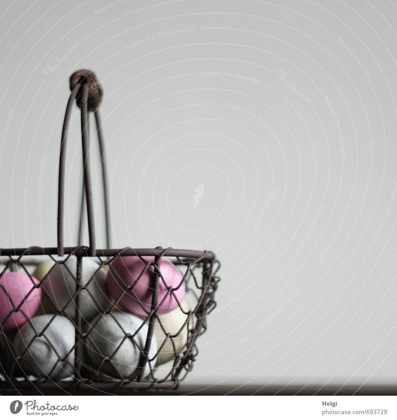 ei ei ...scraper basket Food Candy Egg Nutrition Decoration Basket Wire basket Metal Esthetic Exceptional Simple Beautiful Uniqueness Delicious Brown Gray Pink